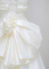 WD1145の画像3縮小