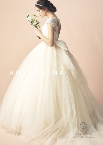 取り寄せ商品【ANTEPRIMA】ANT0210 off white
