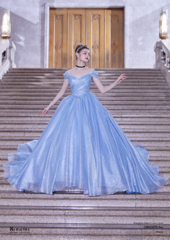 非公開: DWS0079 （ blue )